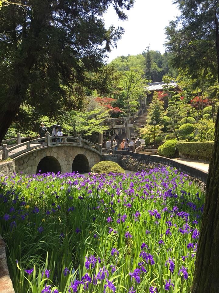 花の五月