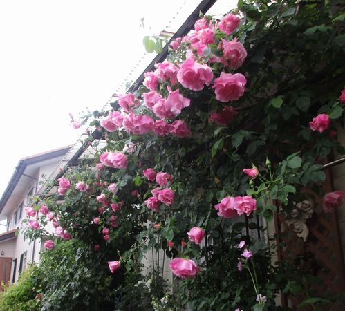 一日中雨降り