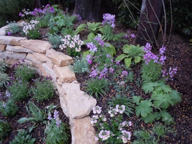 花壇の草花たち