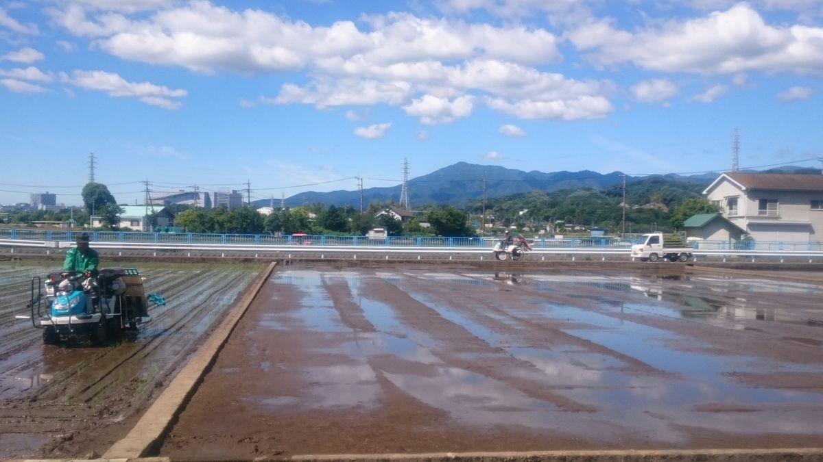 田植えスタート！