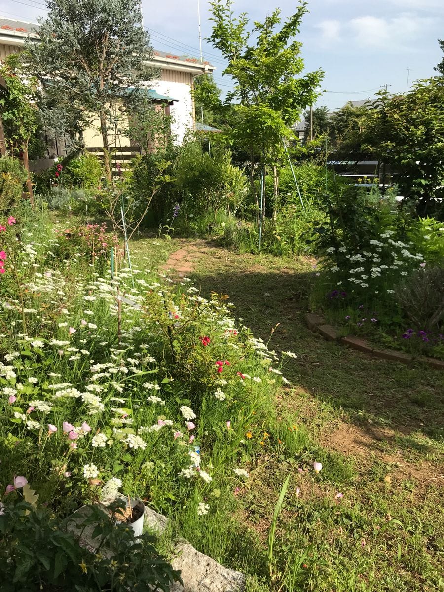 庭は春から夏への変わり時期