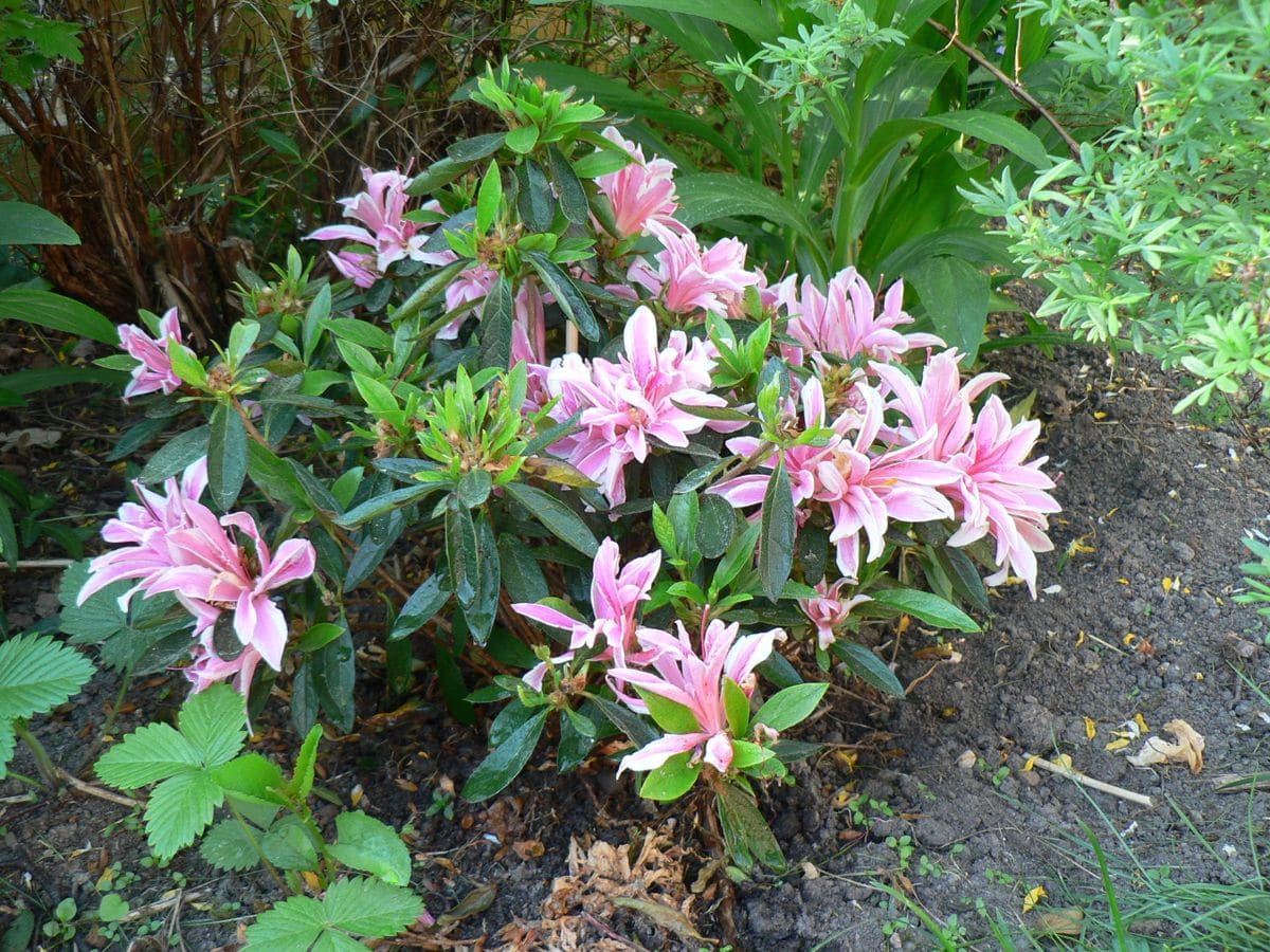 5月27日・総括