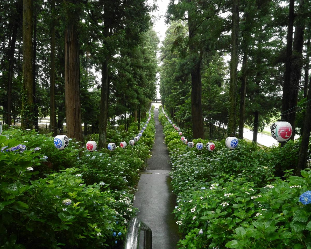 磯山神社です。