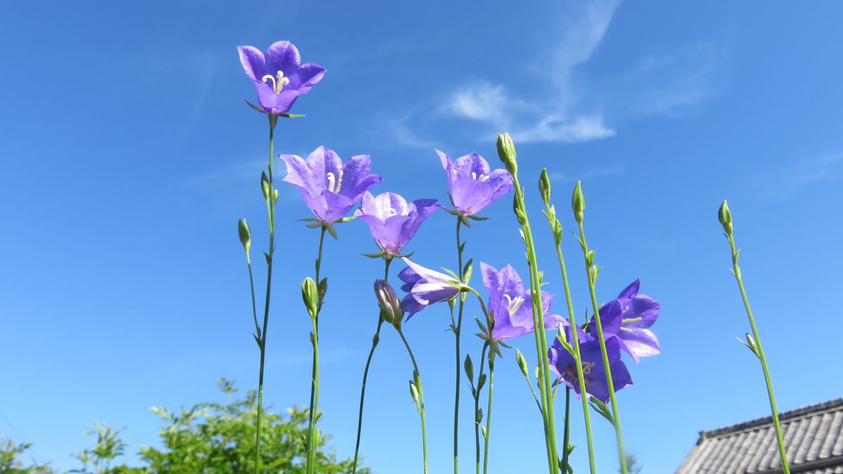 背の高い順に整列～😊～