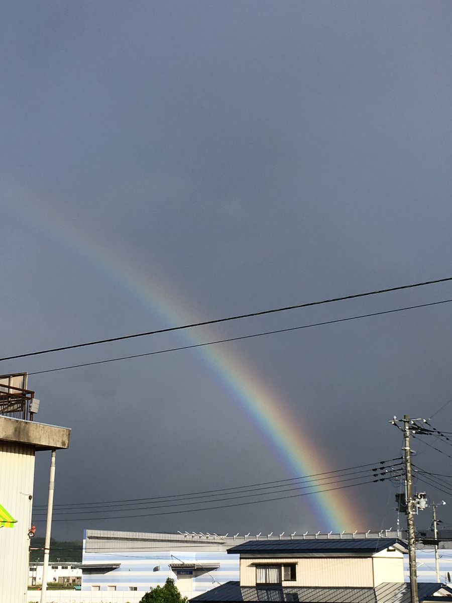 梅雨入りしてすぐの中休み😆