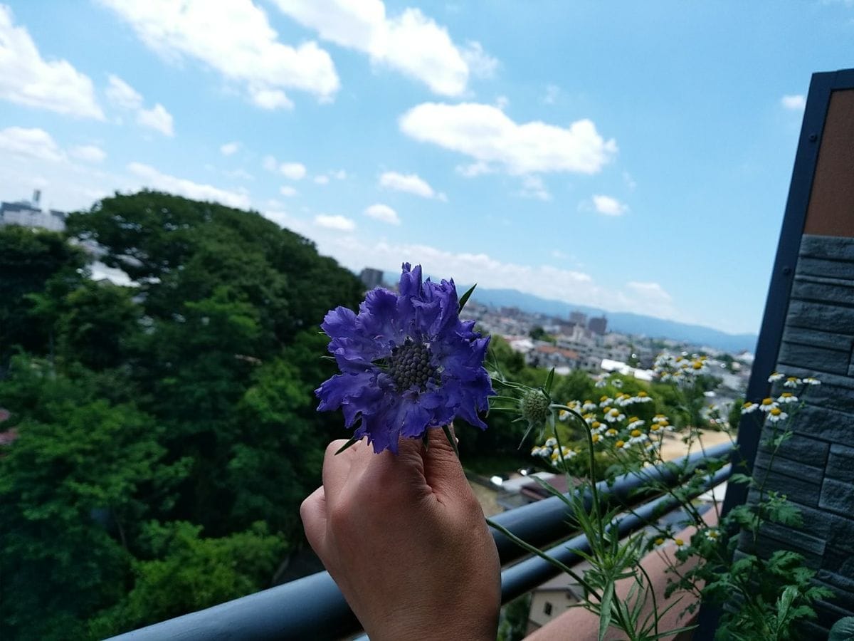 エターナルさんが心配だけど…