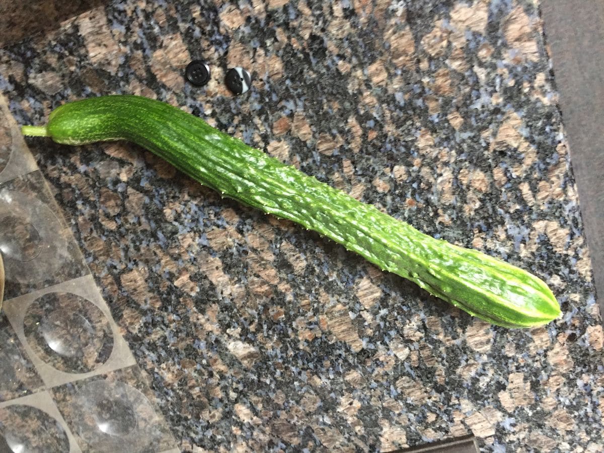 雨が降ってきました！