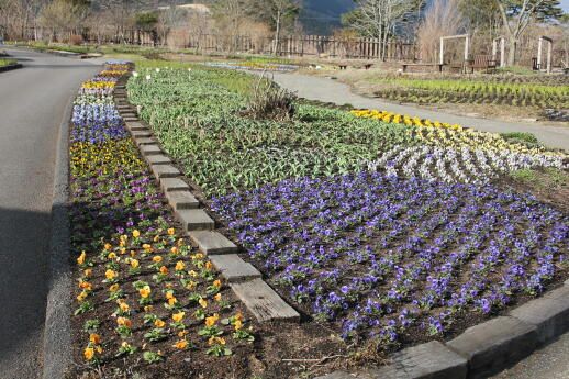 花公園☆