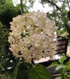 豪雨でした💦