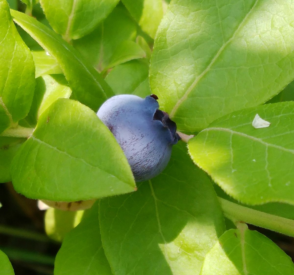 そこそこ暑いですよ～😅