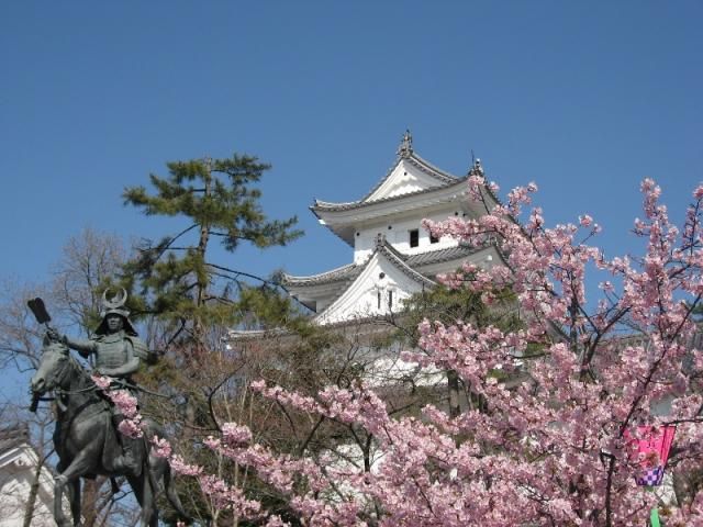 大垣公園の河津寒桜