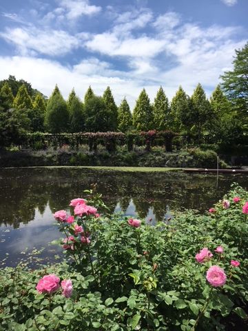 軽井沢に行ってきました