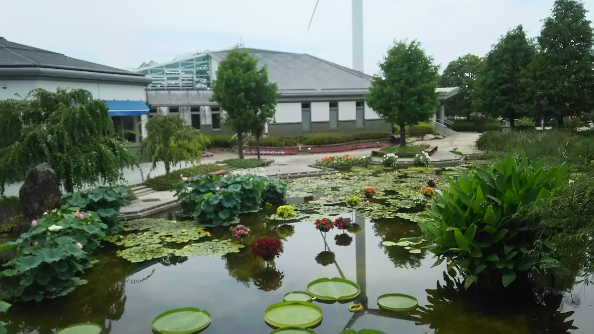 昨日の花散歩。