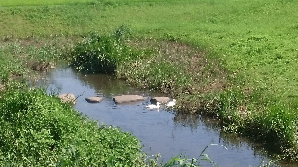 ドイツの片田舎