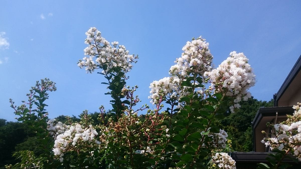 今日も一日お気楽に♪