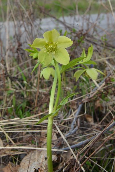 2012年原生地の旅（4月5日）