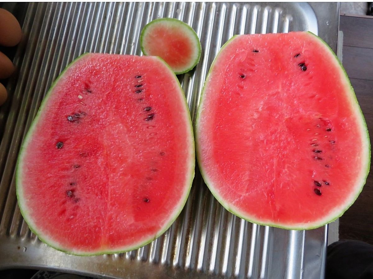 🍉夏こそスイカの時期🍉