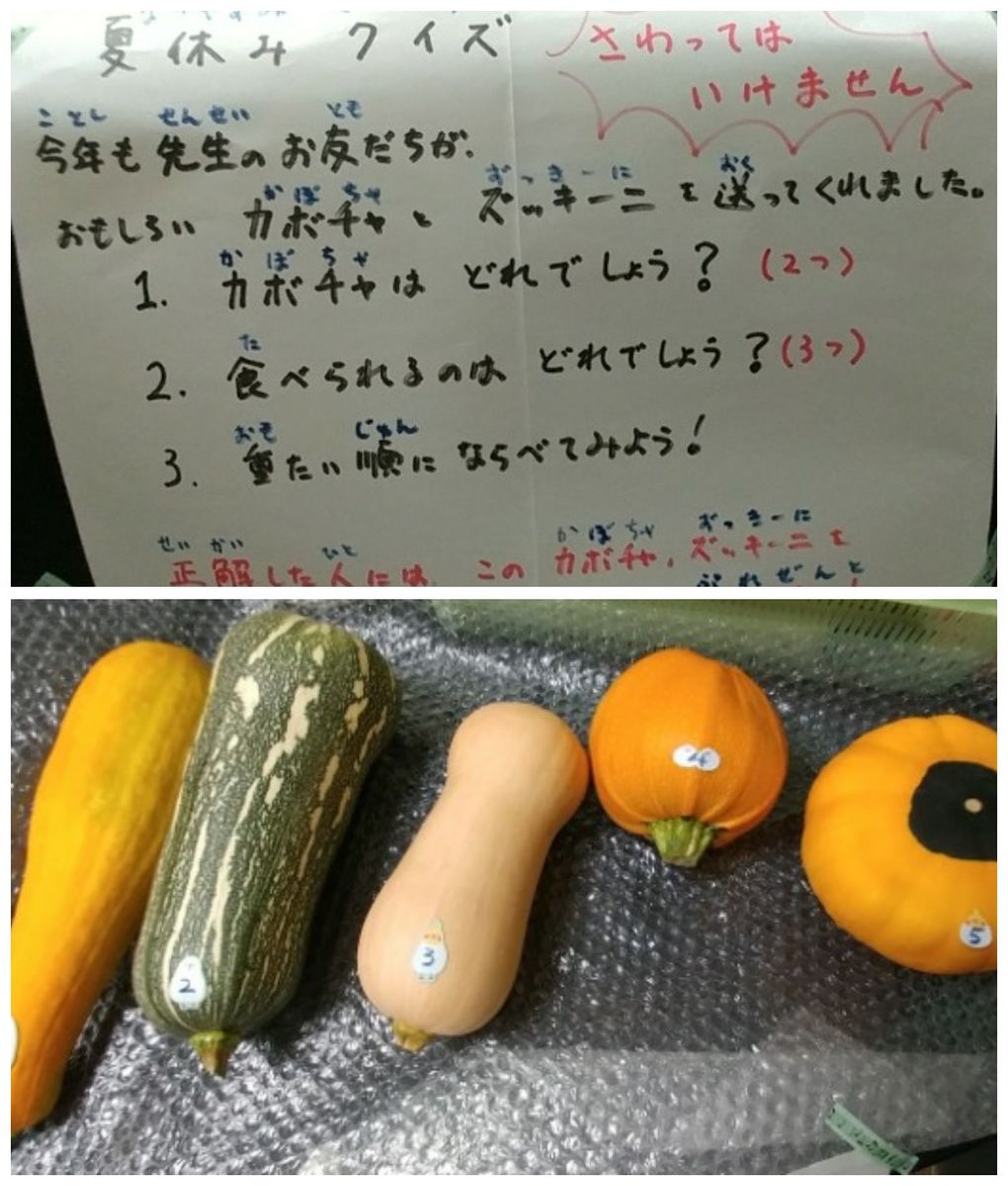 夏休み企画とお茶のお稽古