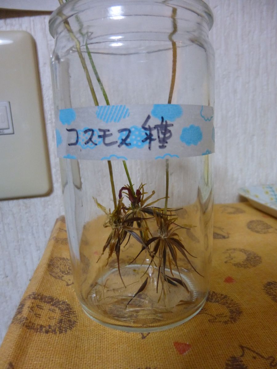 花火がおわったら…