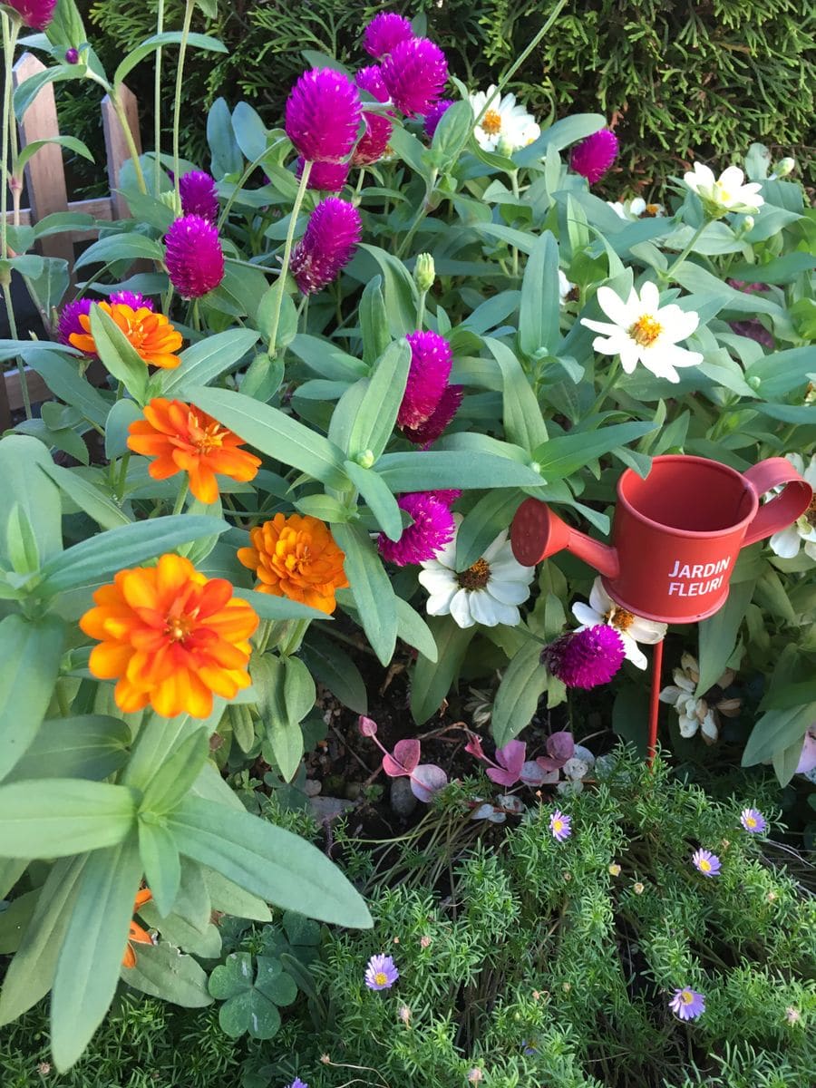 元気なお花🌸&リーフ🌿