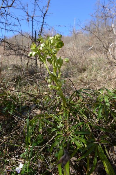 2012年原生地の旅（4月1日）