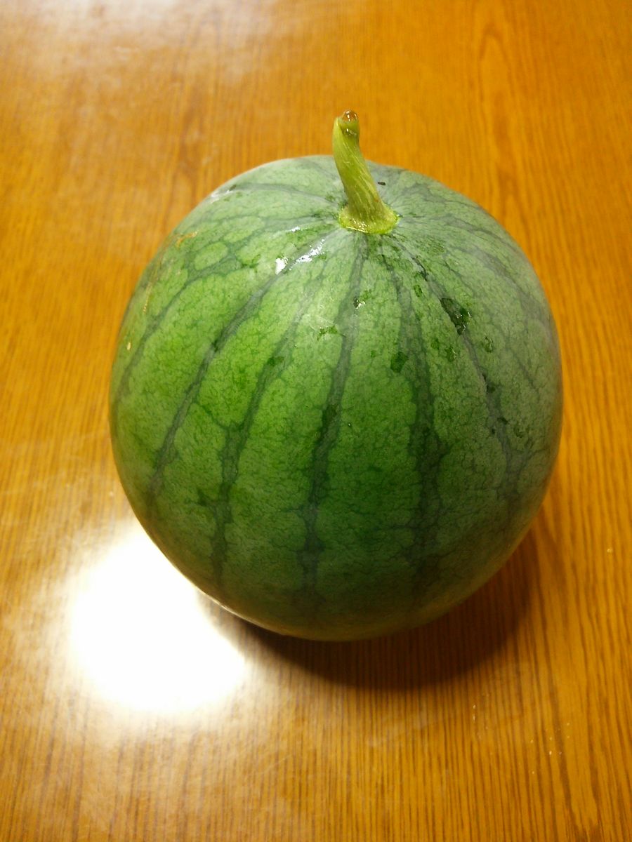 明日から お盆🍉