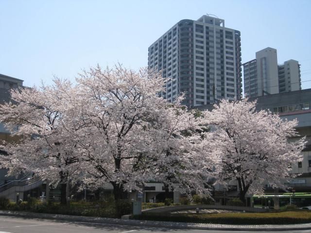 初夏の陽気