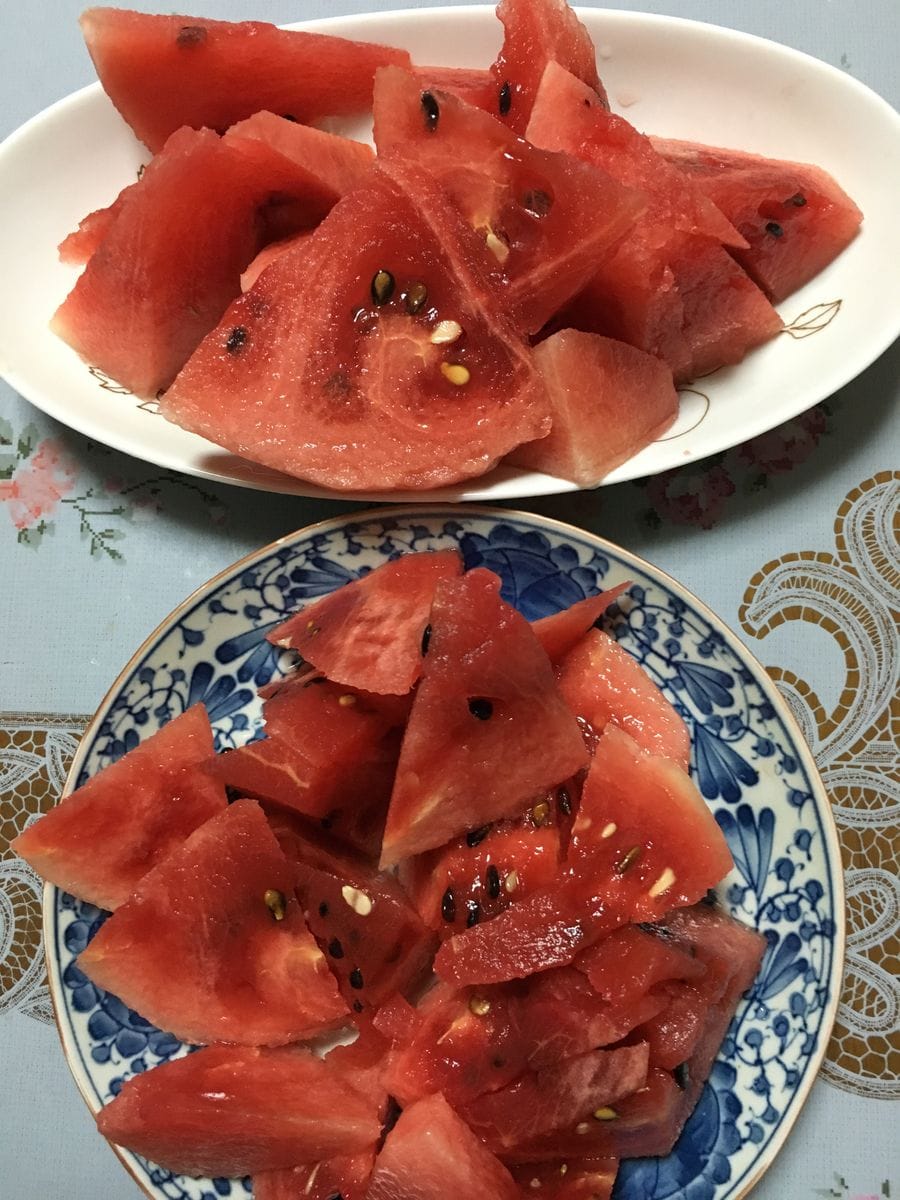 スイカ ３代目 🍉