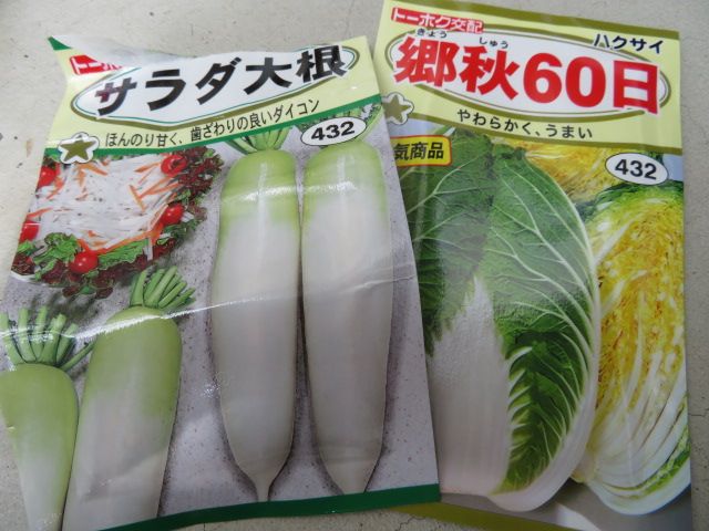 秋野菜の種を蒔きました。