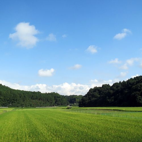 里山で汗を流す　その１