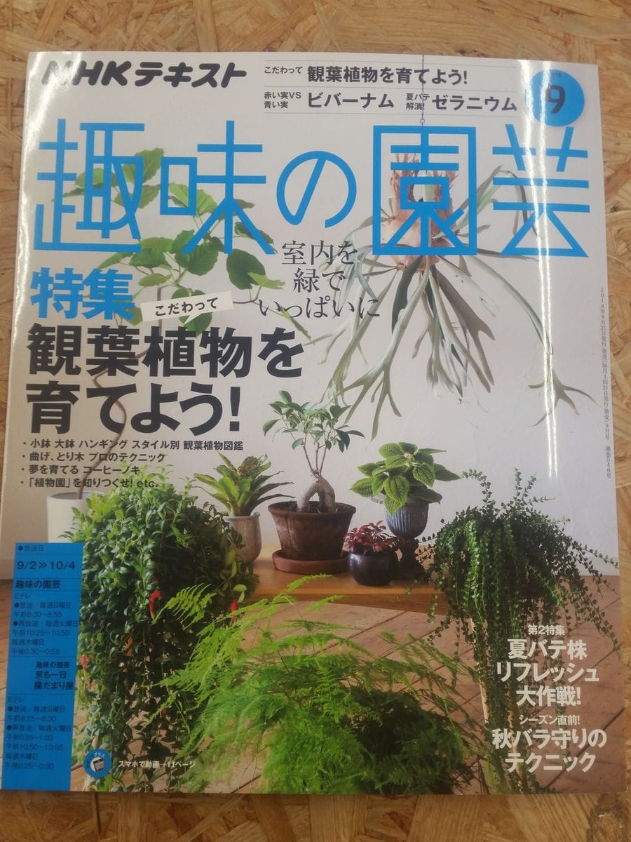 趣味の園芸　９月号