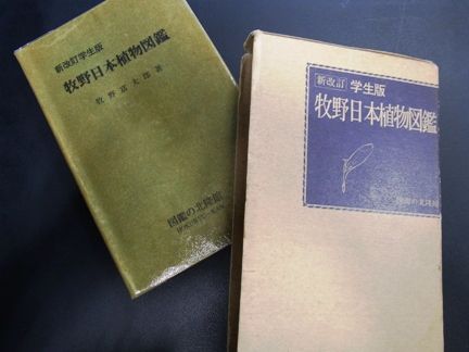 牧野富太郎博士　生誕150年