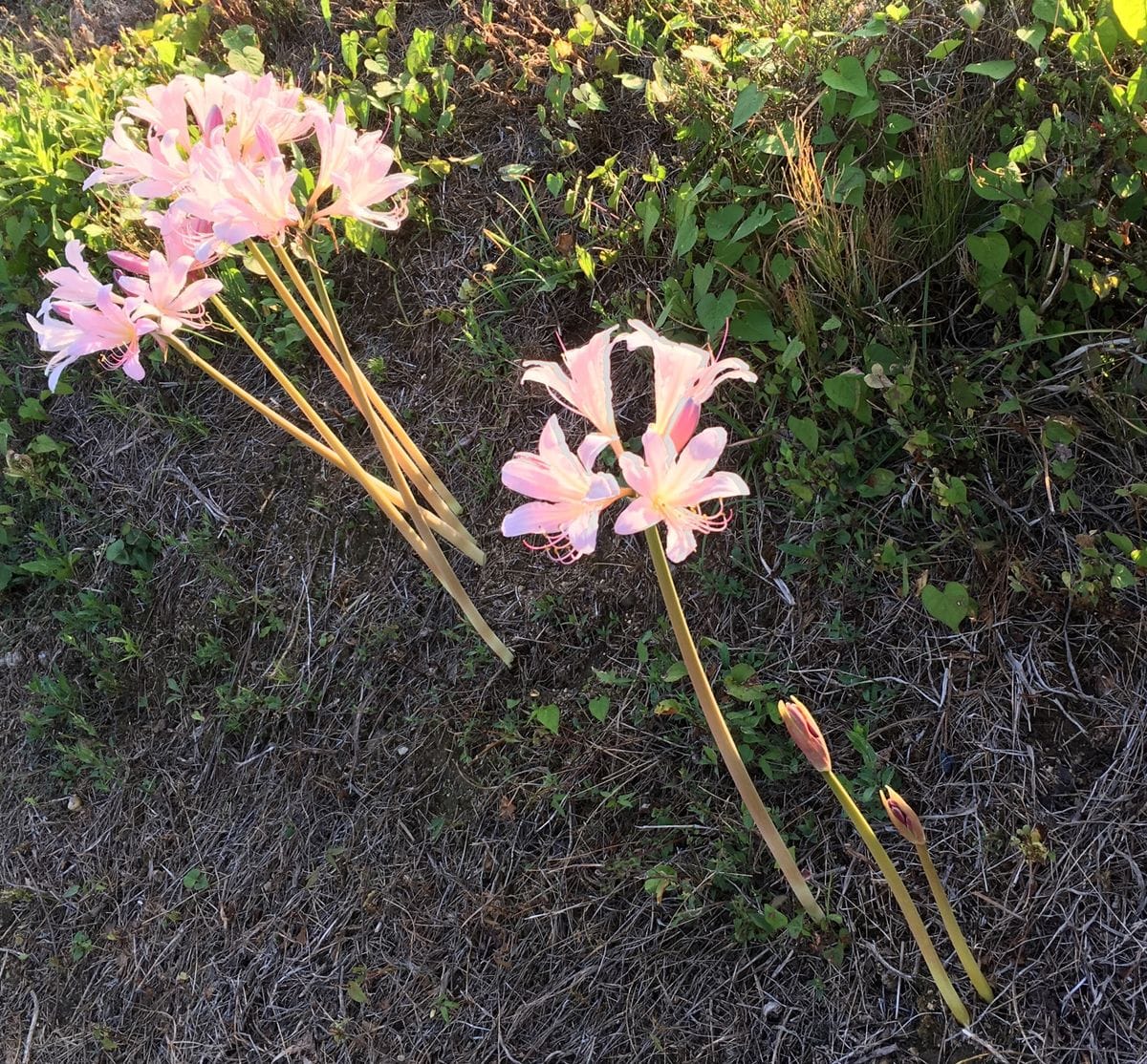 暴風雨に耐えて