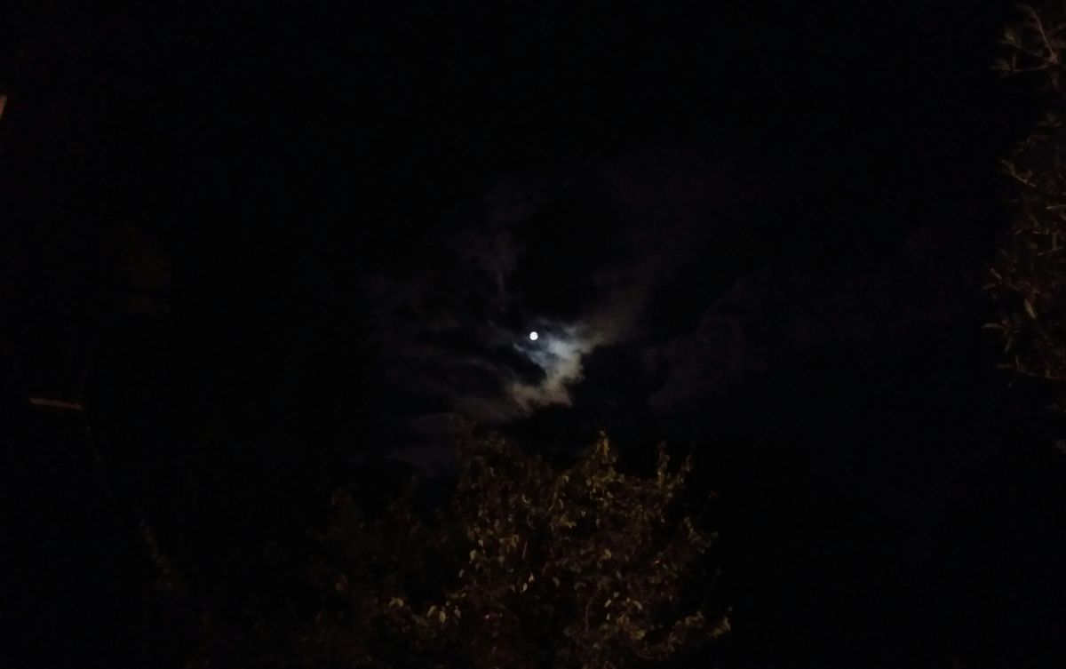 今宵の満月🌕