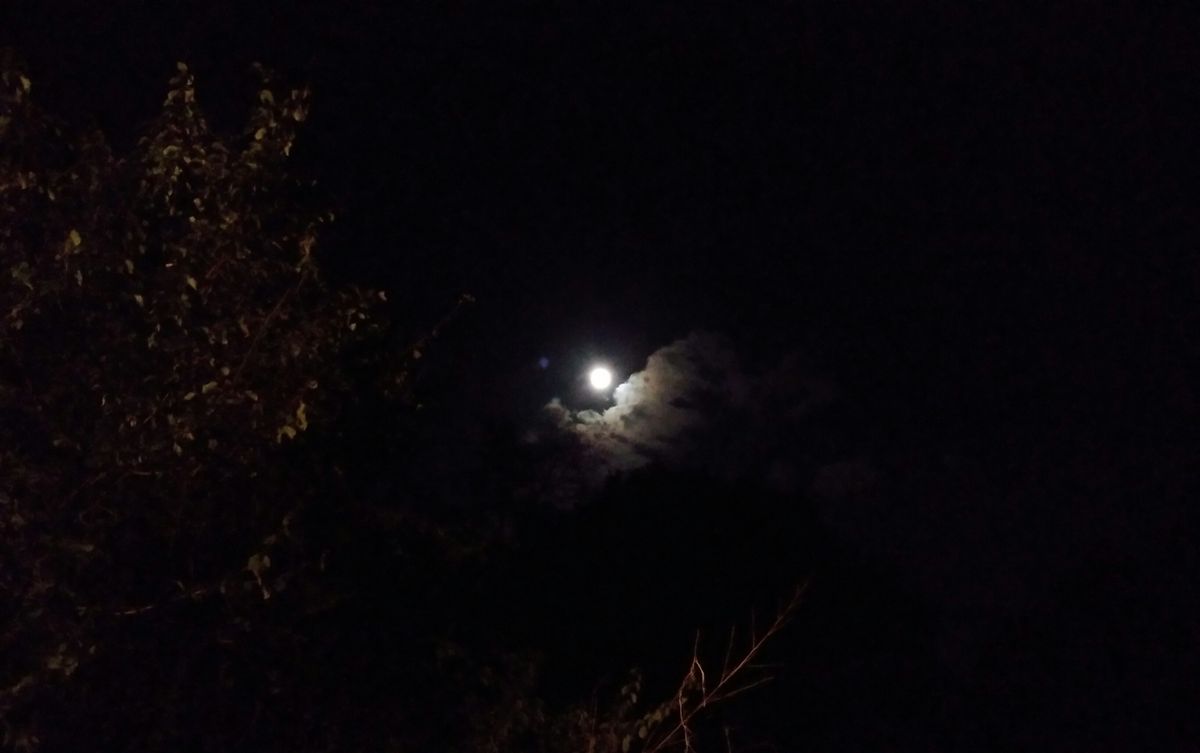 今宵の満月🌕