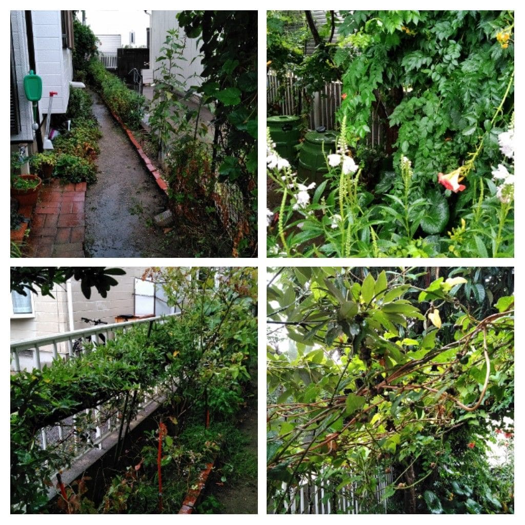 久しぶりの雨☔‼️