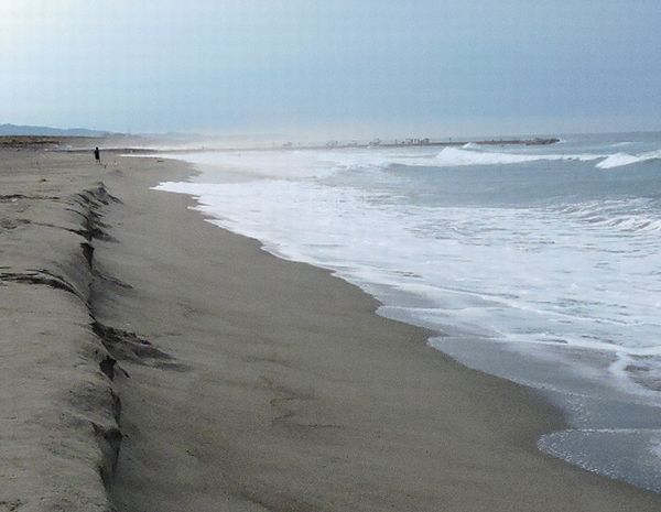 浜の地形回復～台風20号