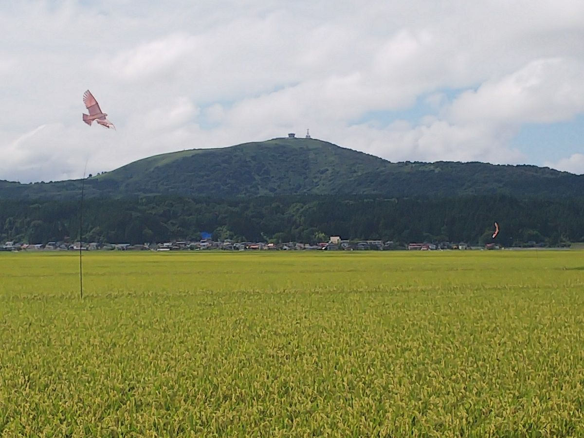 実家に来てます🏠🚗💨