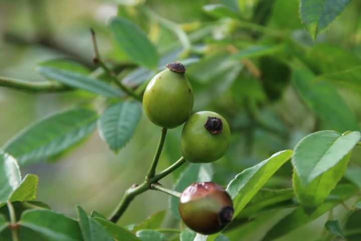 夏の片付け