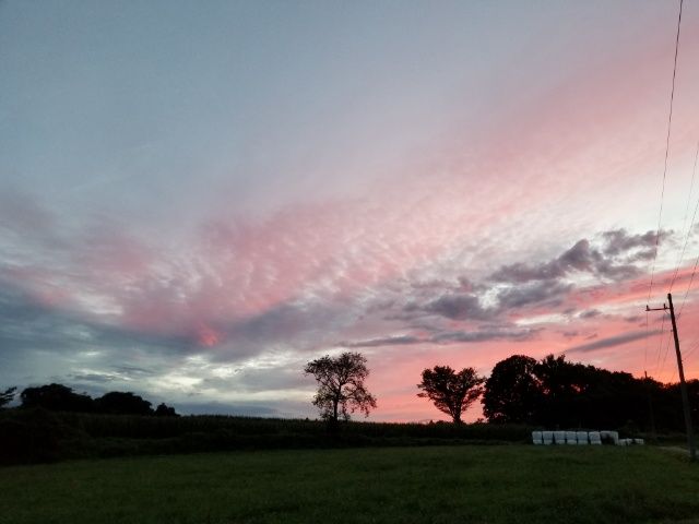 夕焼け天体ショー((@´∀｀艸))