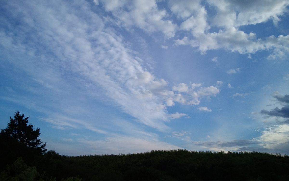 今日の風景