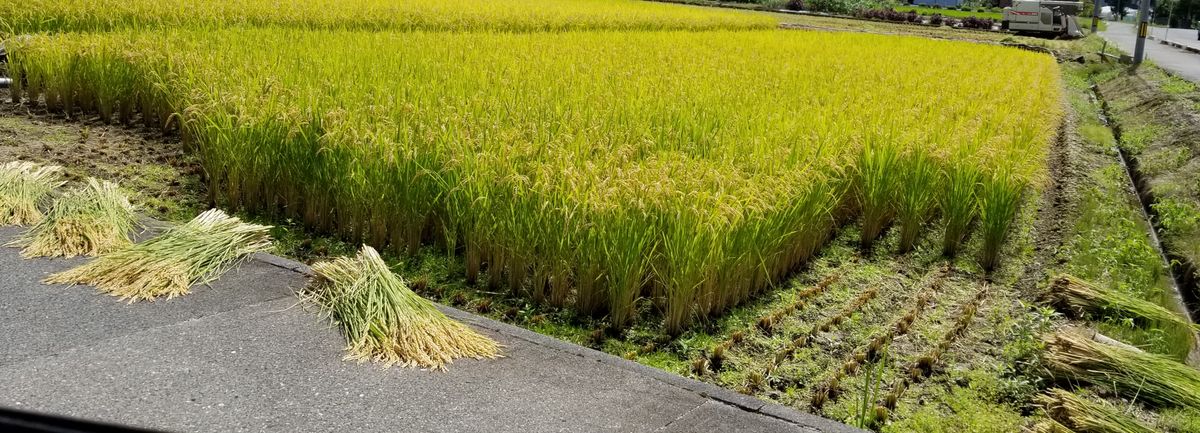 台風が来る⁉