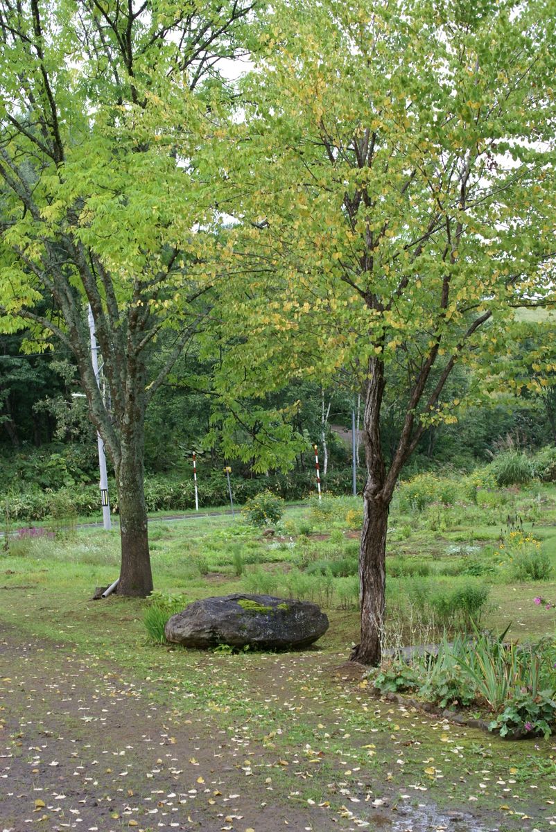 秋の気配です180909