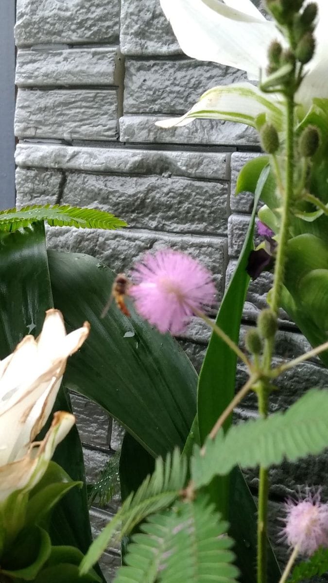 肌寒い秋雨の日が続いてますが