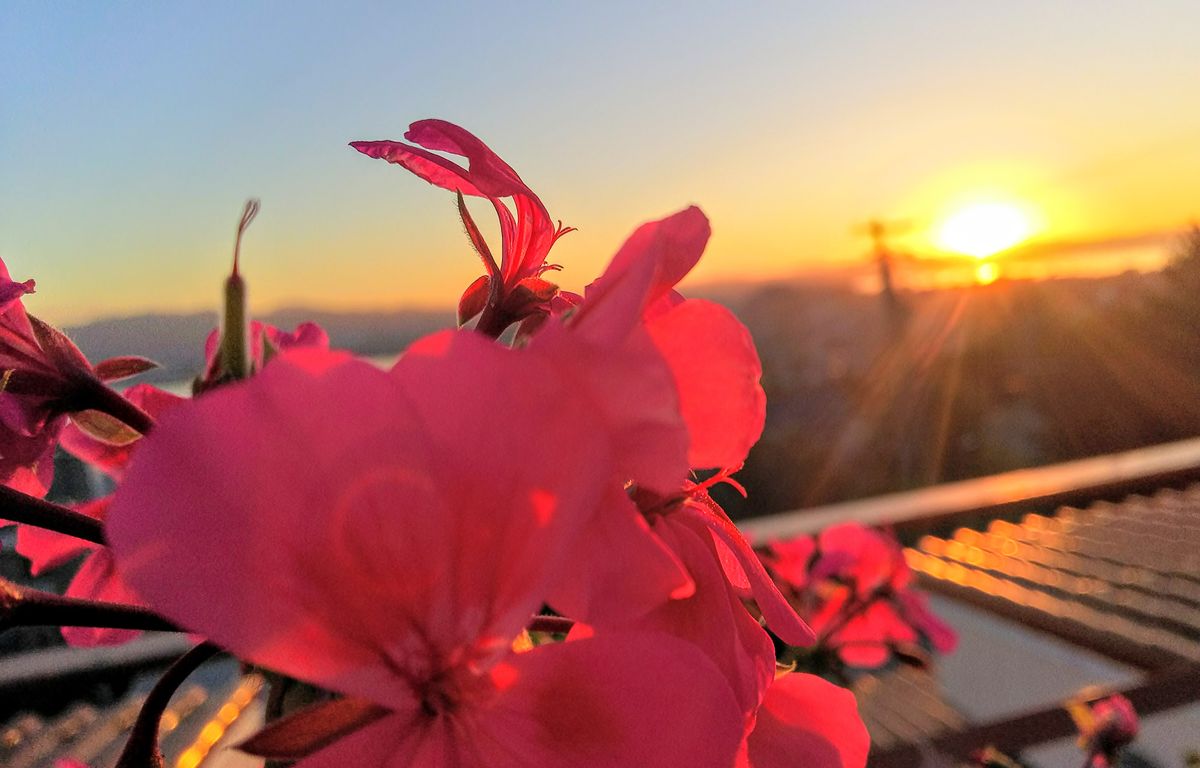 日の出🌅が美しい秋晴れ