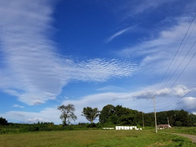 ひつじ雲