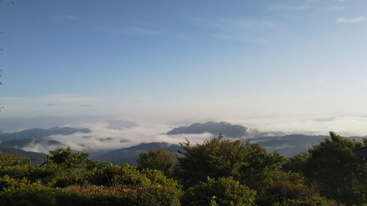 雲海