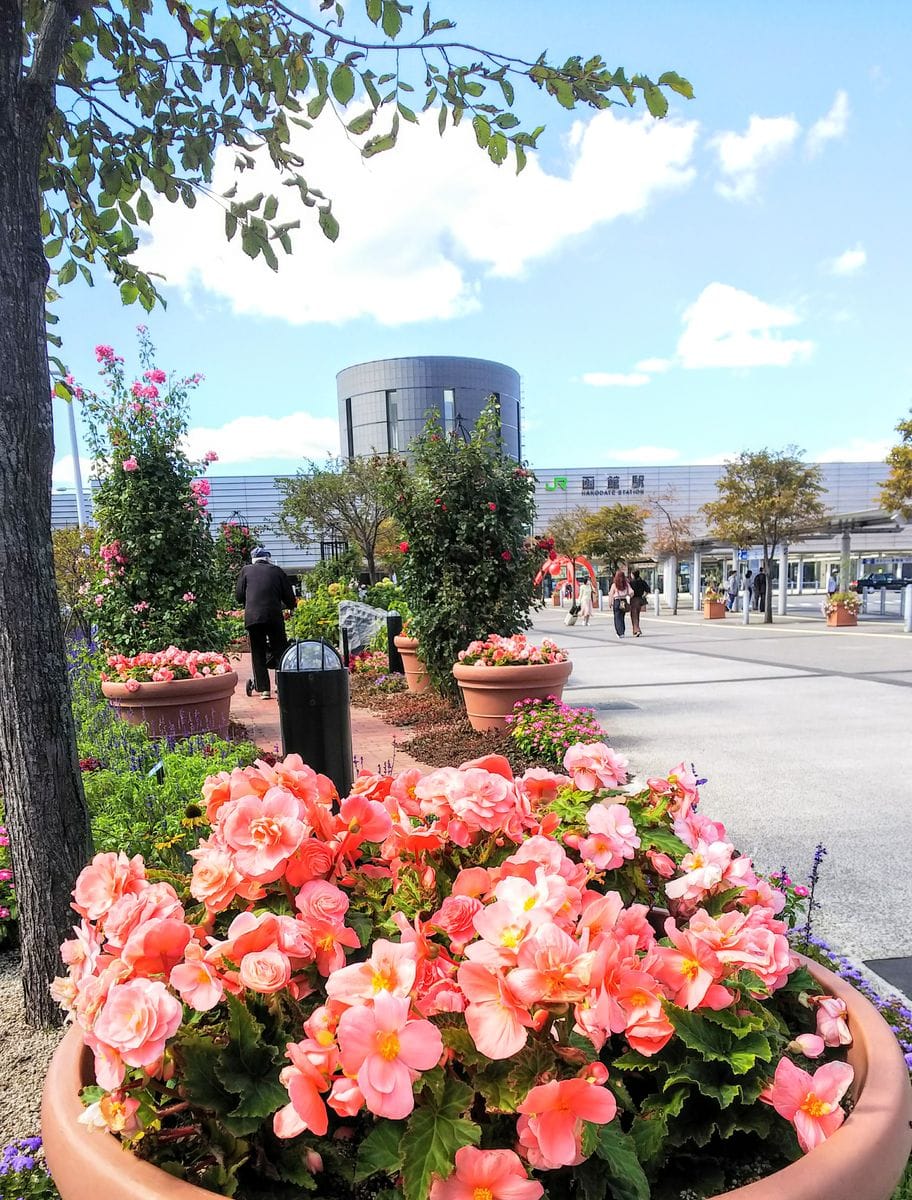 函館駅前駅花壇の秋🍁