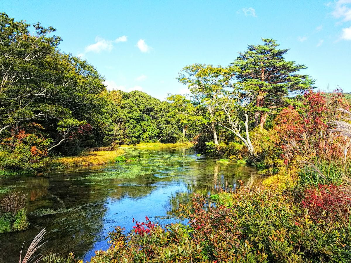 田代高原のグダリ沼の紅葉🍁