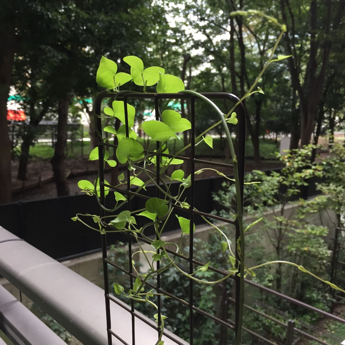 すっかり秋。そして台風。